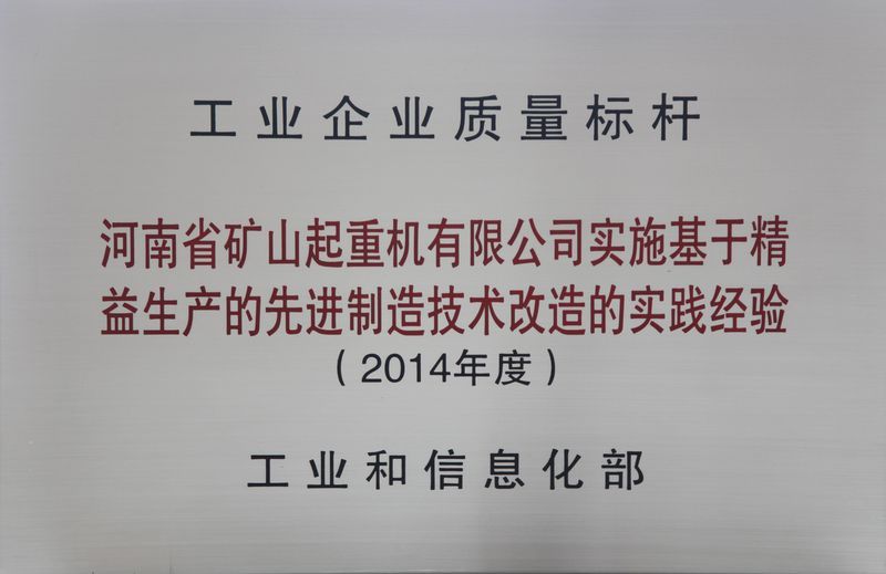 雙標(biāo)桿！河南礦山典型經(jīng)驗(yàn)再次入選全國質(zhì)量標(biāo)桿